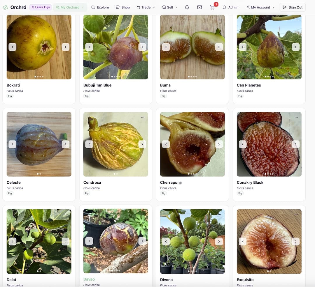 Plant collection grid showing photo cards for each variety